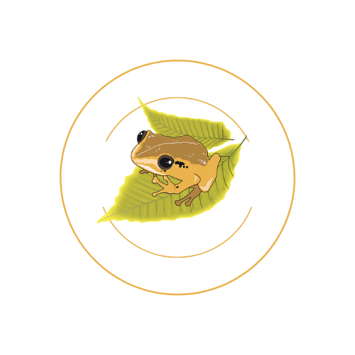El Coqui Nails logo